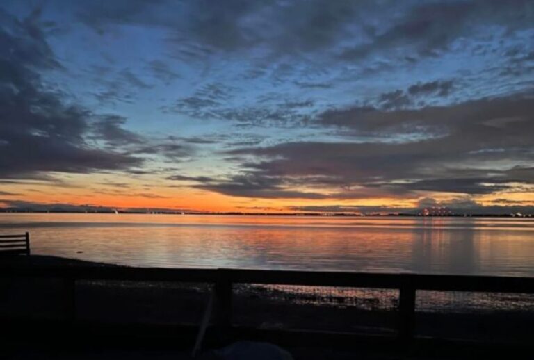 Read more about the article Dark Night